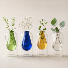 Four clear glass cloche-style vases with teardrop-shaped centers in green, blue, amber yellow, and clear glass, each holding different green plants, arranged in a row against a warm beige background.